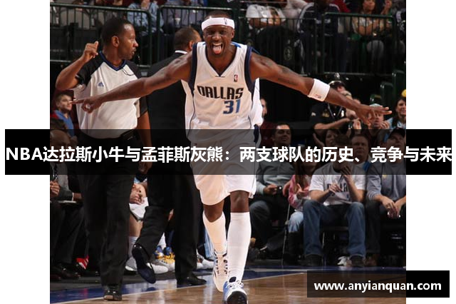 NBA达拉斯小牛与孟菲斯灰熊：两支球队的历史、竞争与未来